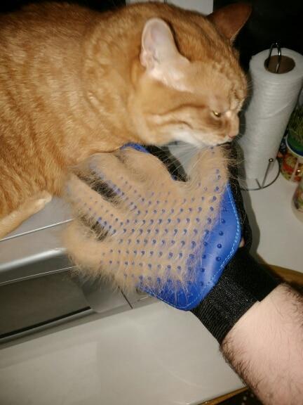 Pet Grooming Glove for Cats, Dogs & Horses | Skanto