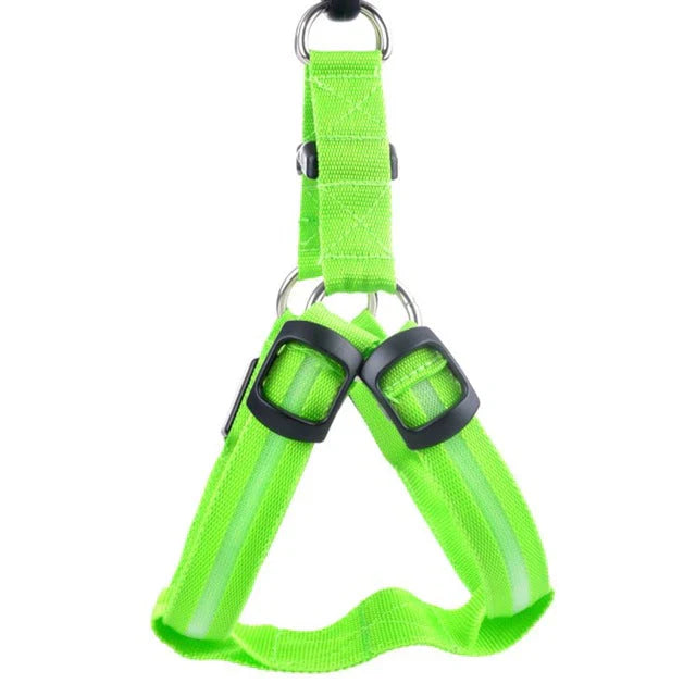 GlowSafe LED Hundesele Skanto