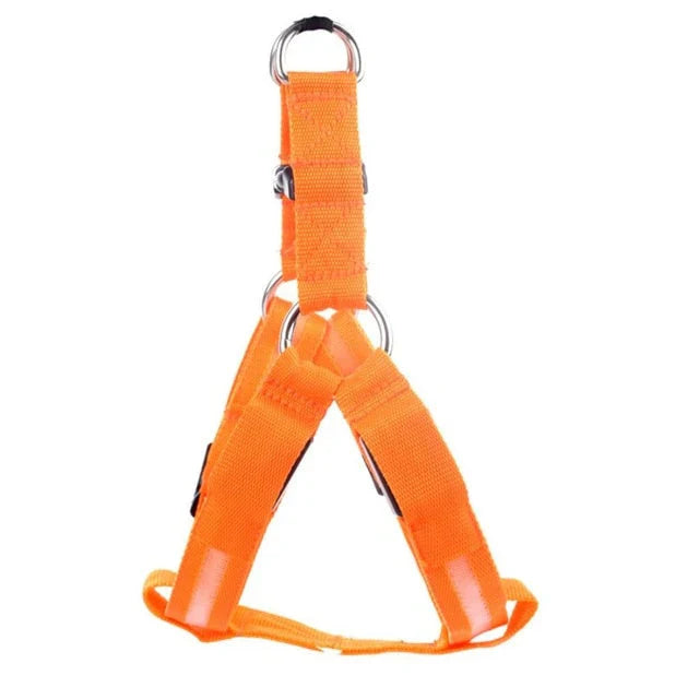 GlowSafe LED Hundesele Skanto