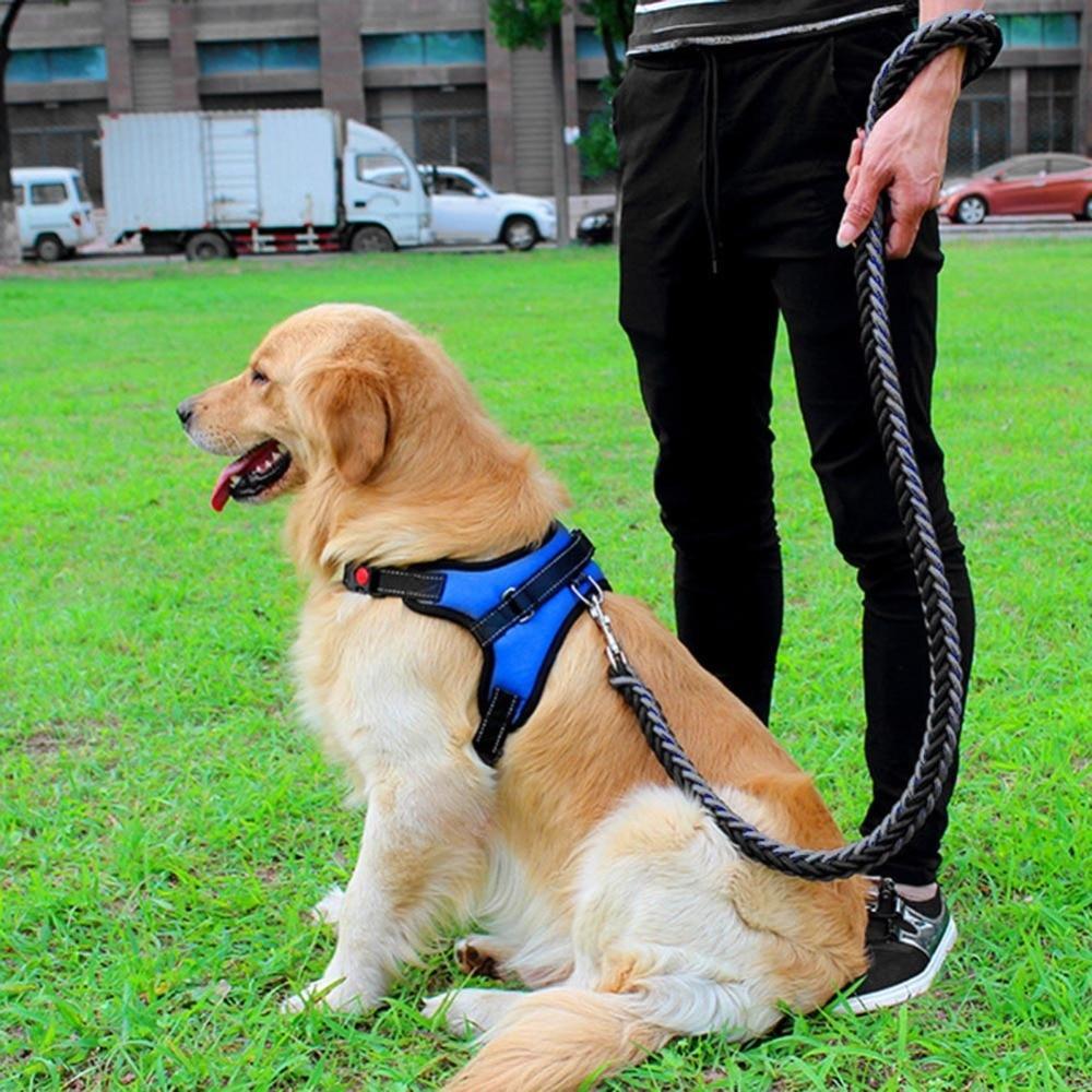 Justerbar Hundeforings sele | Skanto