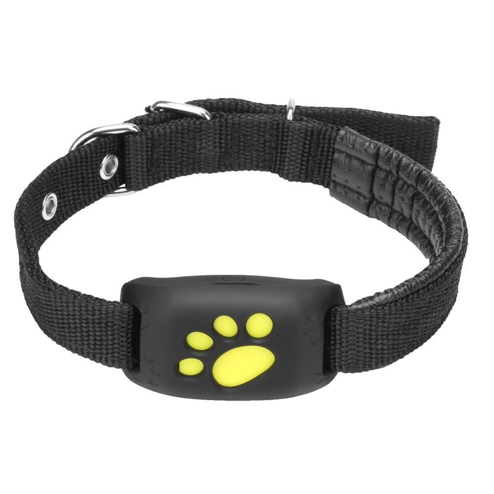 Skanto | GPS Hundehalsbånd