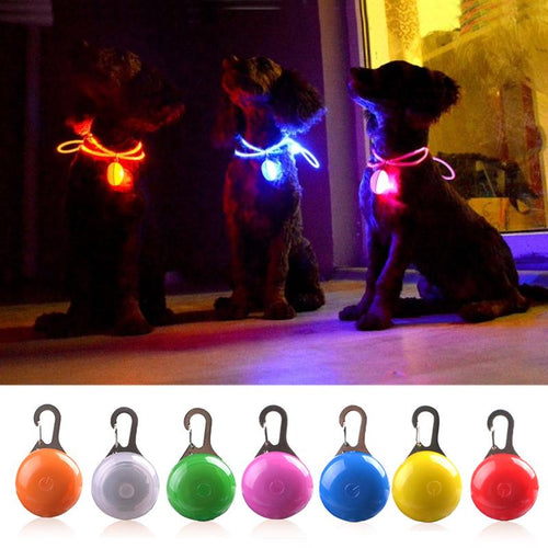 LED Flash Hundehalsbånd Pendant | Skanto