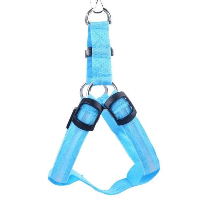 GlowSafe LED Hundesele Skanto