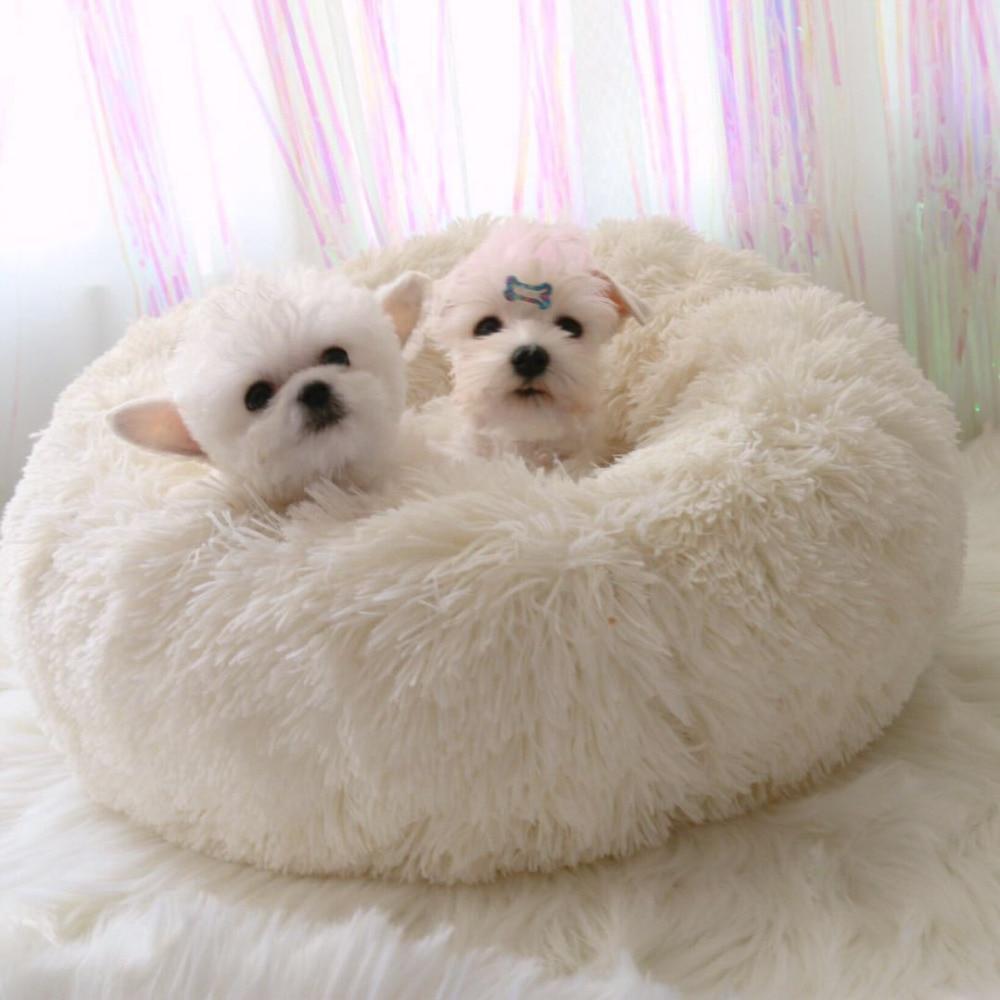 Mini - Rund P fluffy Plush Kattested | Skanto