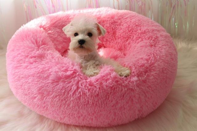 Mini - Rund P fluffy Plush Kattested | Skanto