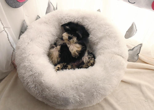 Mini - Rund P fluffy Plush Kattested | Skanto