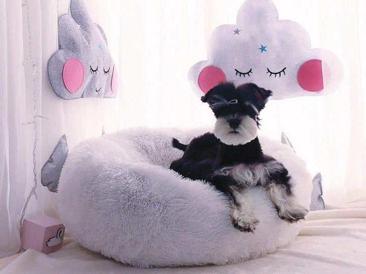 Mini - Rund P fluffy Plush Kattested | Skanto
