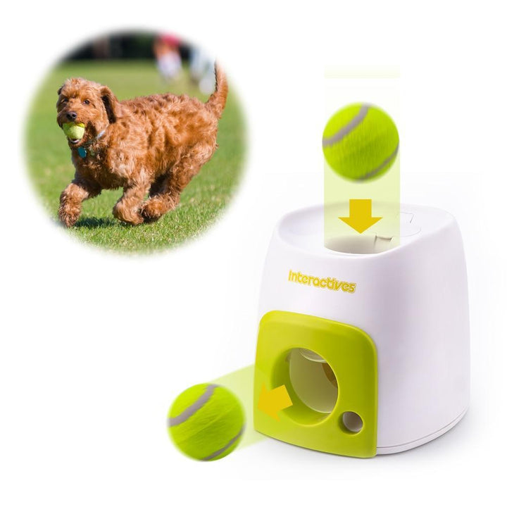 Skanto | Automatisk Hund Ball Kaster - Beste Hund Hentemaskin