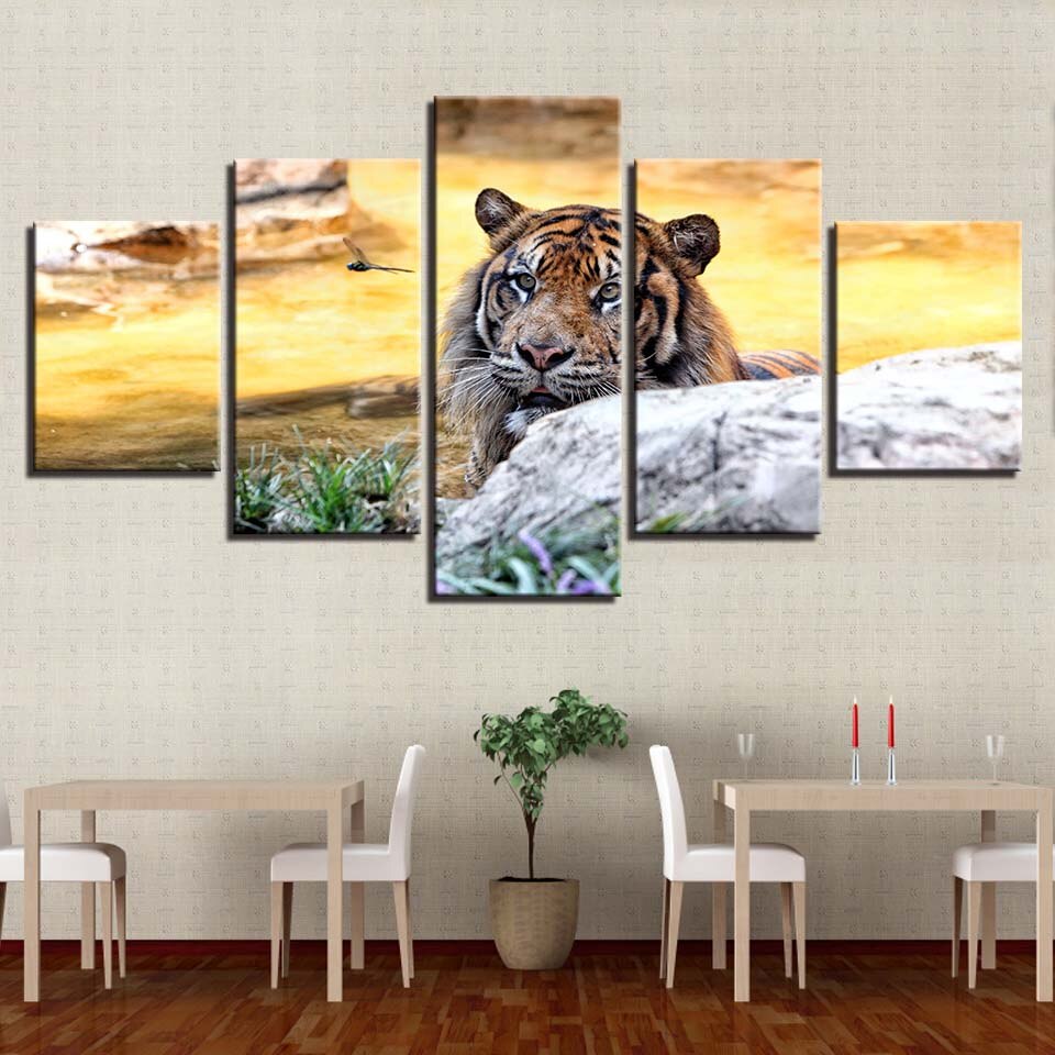 Solnedgang, Tiger – Lerretsbilde