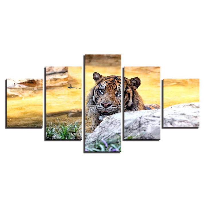 Solnedgang, Tiger – Lerretsbilde