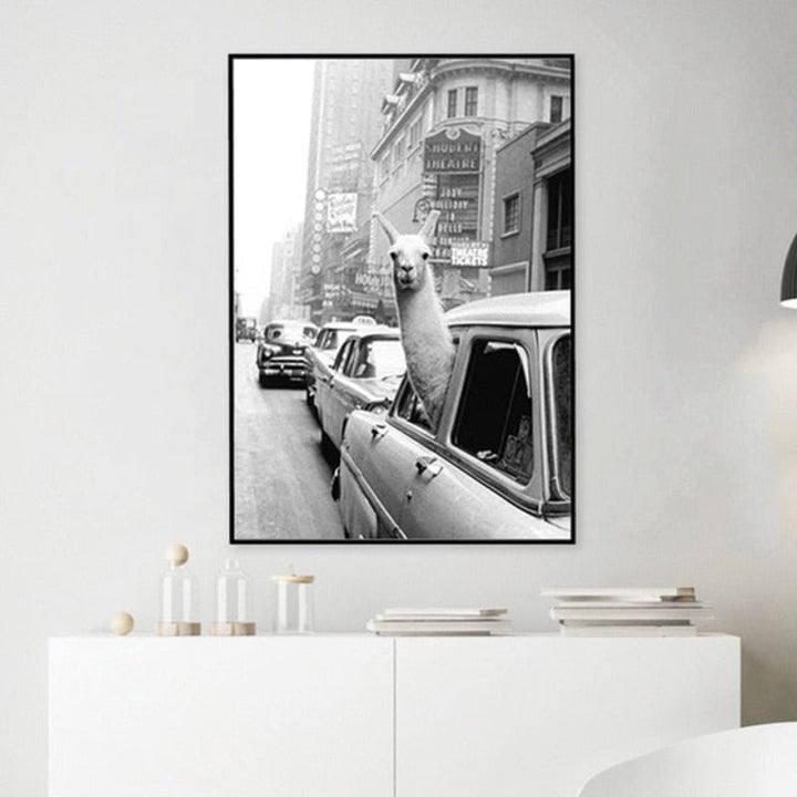 Alpaca i taxi - Lerretsveggkunstmaleri | Skanto