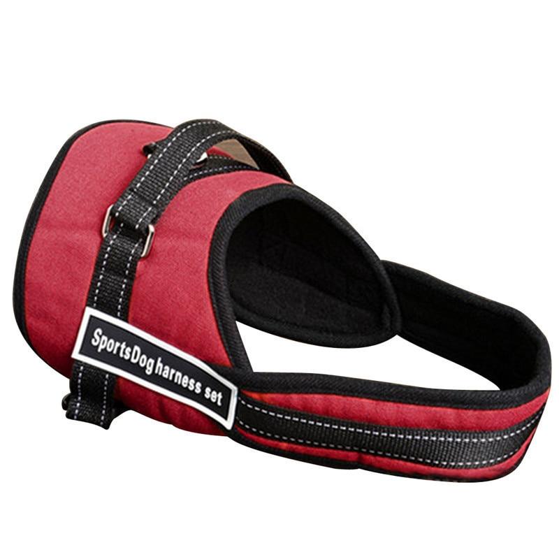 Hundeturgjengersele | Skanto