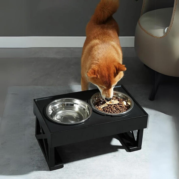 PupLift Hevet Hundeskål – Ergonomisk & Langsom Fôring for Sunne Måltider | Skanto
