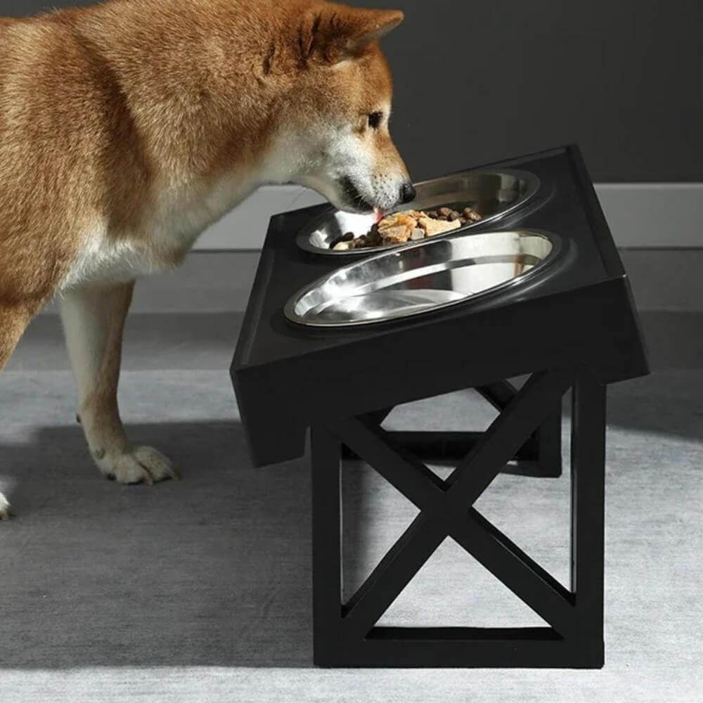 PupLift Hevet Hundeforsyning – Ergonomisk & Sakte Spising for Sunne Måltider | Skanto