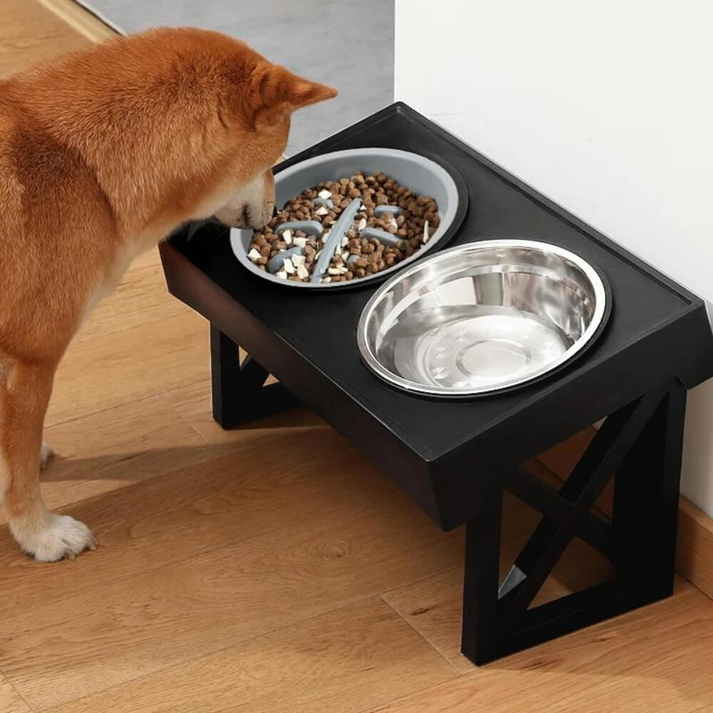 PupLift Hevet Hundeforsyning – Ergonomisk & Sakte Spising for Sunne Måltider | Skanto