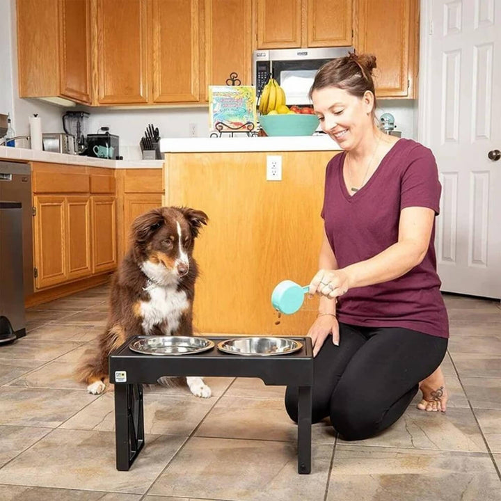 PupLift Hevet Hundeforsyning – Ergonomisk & Sakte Spising for Sunne Måltider | Skanto