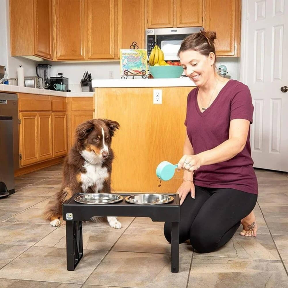 PupLift Hevet Hundeskål – Ergonomisk & Langsom Fôring for Sunne Måltider | Skanto