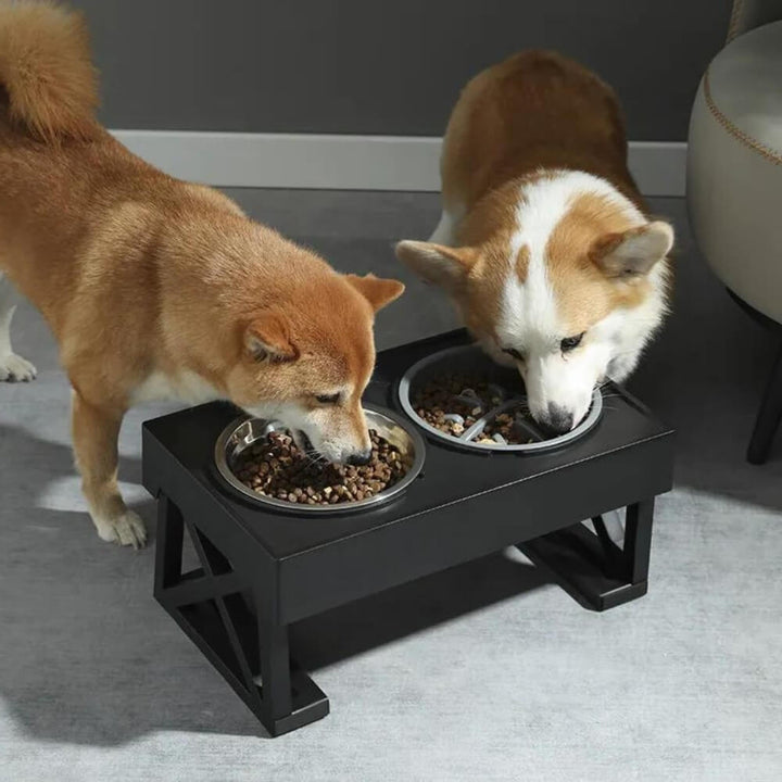 PupLift Hevet Hundeforsyning – Ergonomisk & Sakte Spising for Sunne Måltider | Skanto