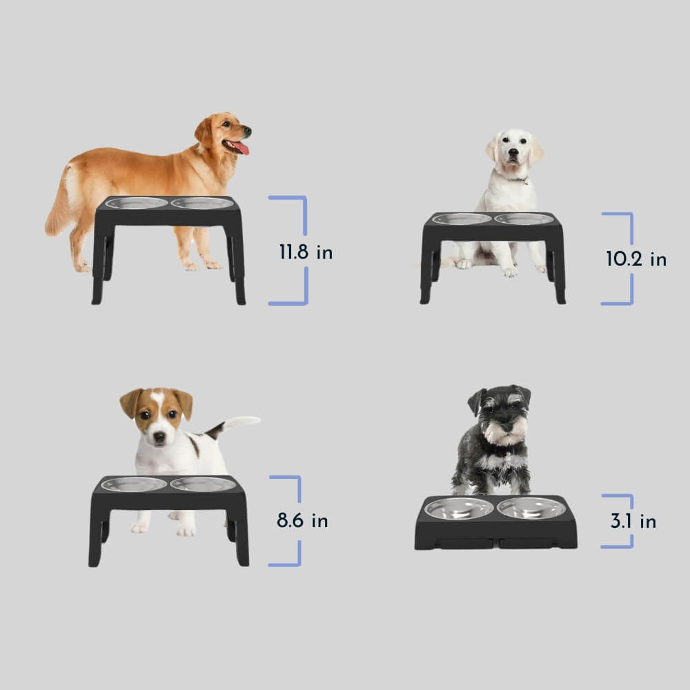 PupLift Hevet Hundeforsyning – Ergonomisk & Sakte Spising for Sunne Måltider | Skanto