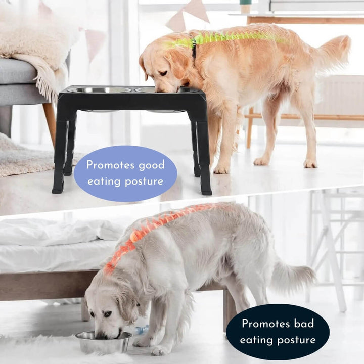 PupLift Hevet Hundeforsyning – Ergonomisk & Sakte Spising for Sunne Måltider | Skanto