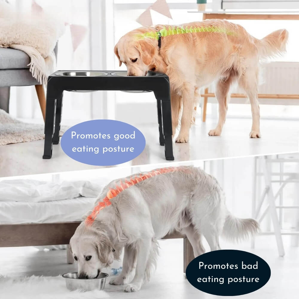 PupLift Hevet Hundeskål – Ergonomisk & Langsom Fôring for Sunne Måltider | Skanto