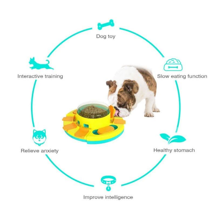 Skanto | PLAYFEED – Interaktiv fôremaskin for hunder med lek & tenke funksjon