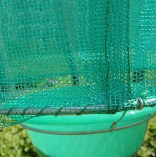 Norvo | Ranch Skadedyrkontroll Fluefelle