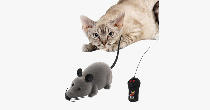 Skanto | Elektronisk RC Rotte Muse leketøy for kjæledyrkatter