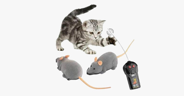 Skanto | Elektronisk RC Rotte Muse leketøy for kjæledyrkatter