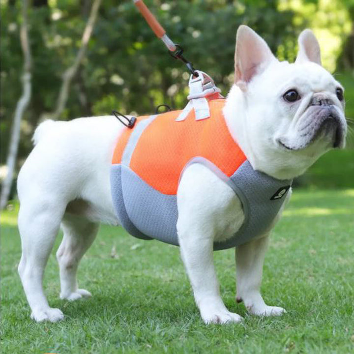 Frenchie Sommer Reflekterende Kjølevest | Skanto