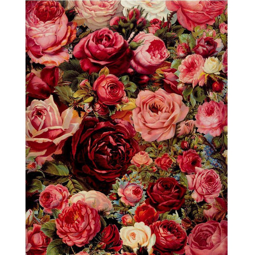 Rose Universe - Van-Go Maler-Nummer Kit | Skanto