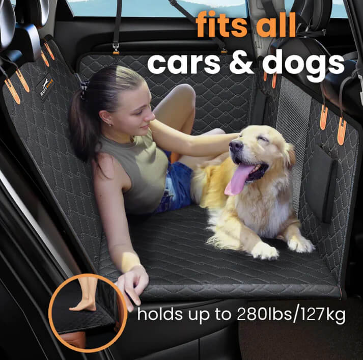 Skanto | DogBench | Reis fredelig med hunden din