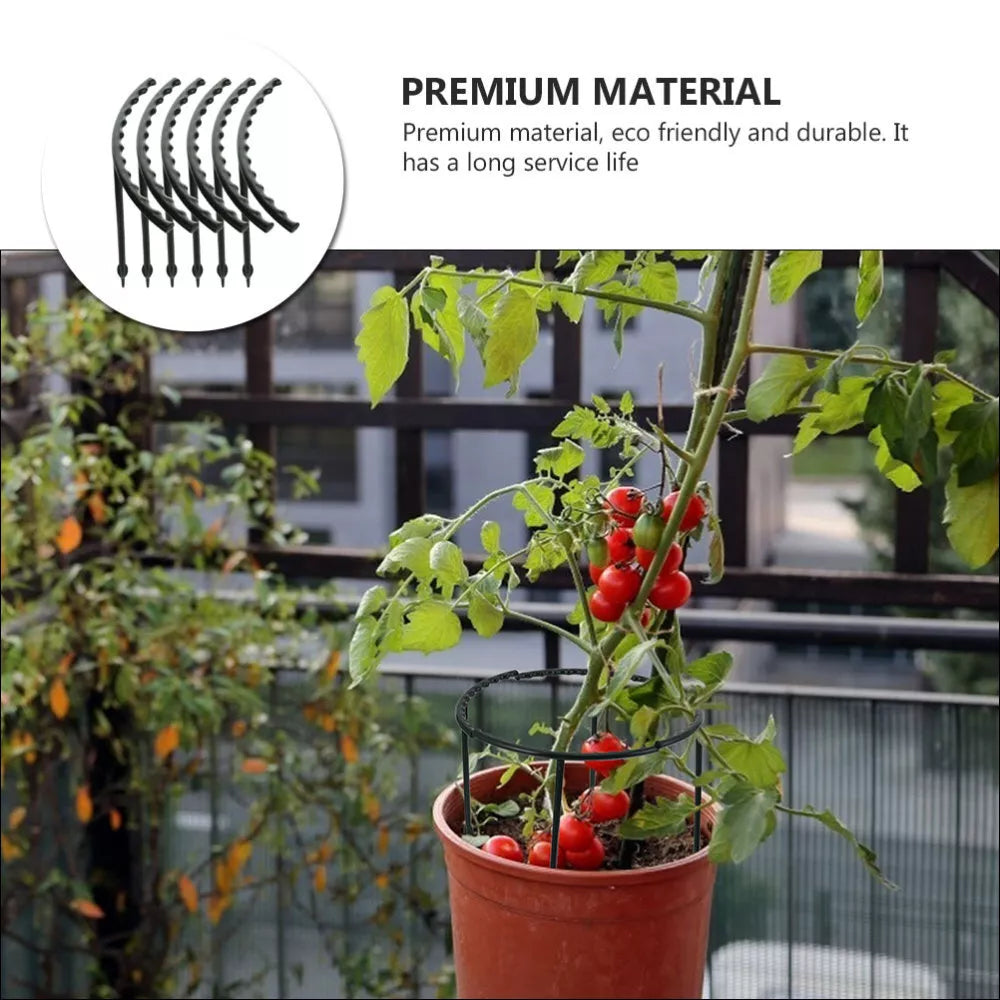 Skanto | Klatrestøtte for planter – Robust holder med burdesign for vekst og stabilitet