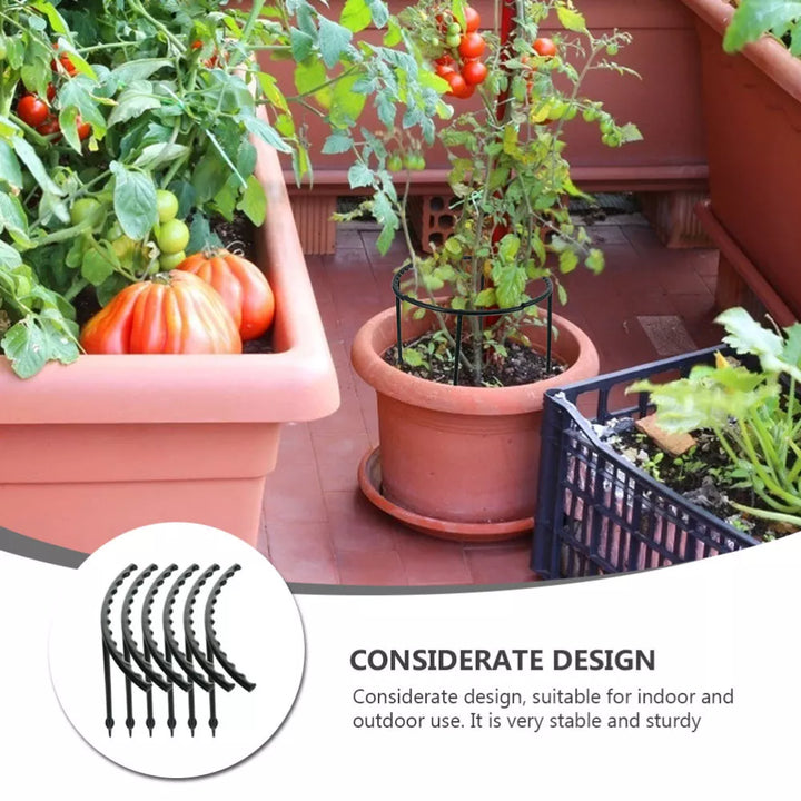 Skanto | Klatrestøtte for planter – Robust holder med burdesign for vekst og stabilitet