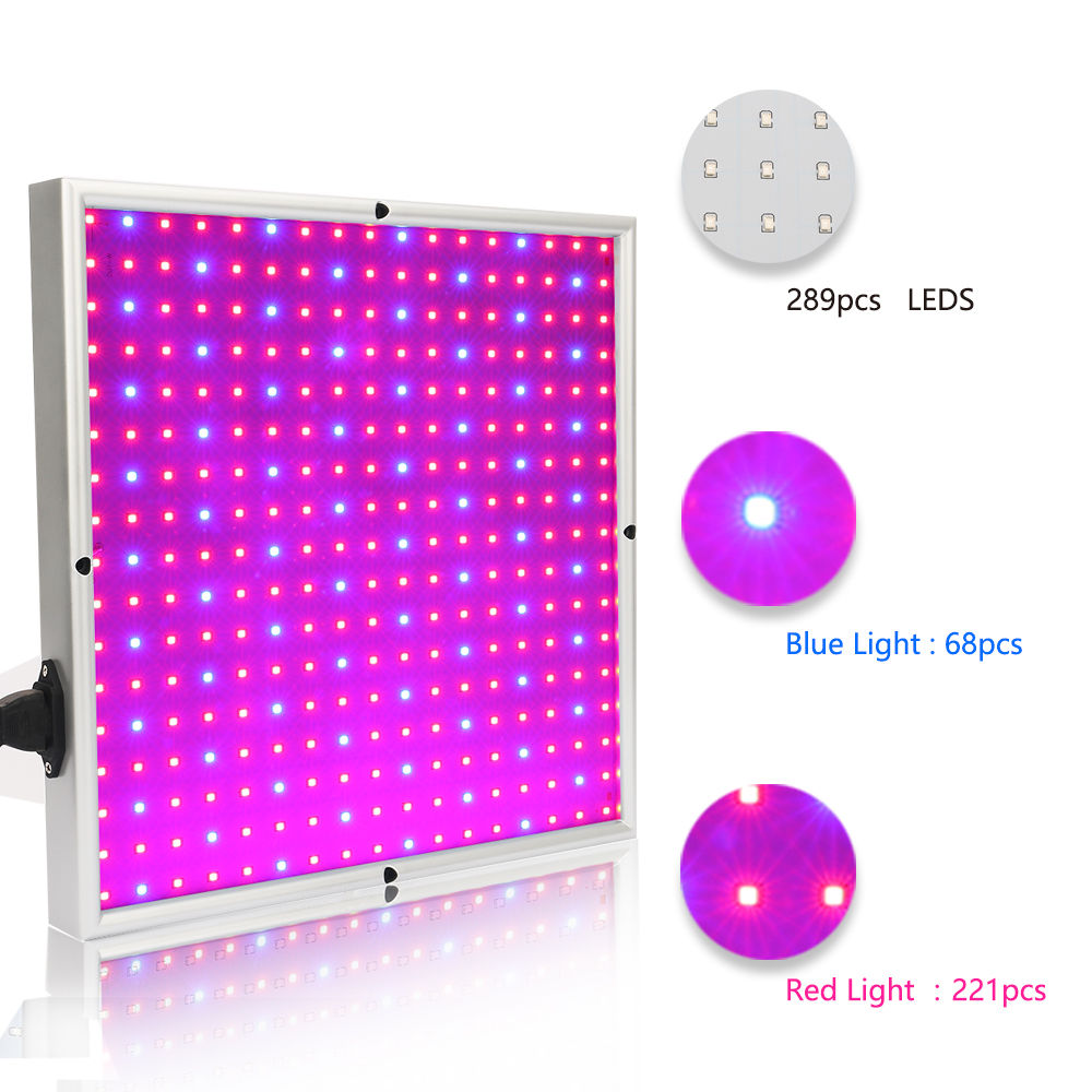 Norvo | Grow Light Lampe