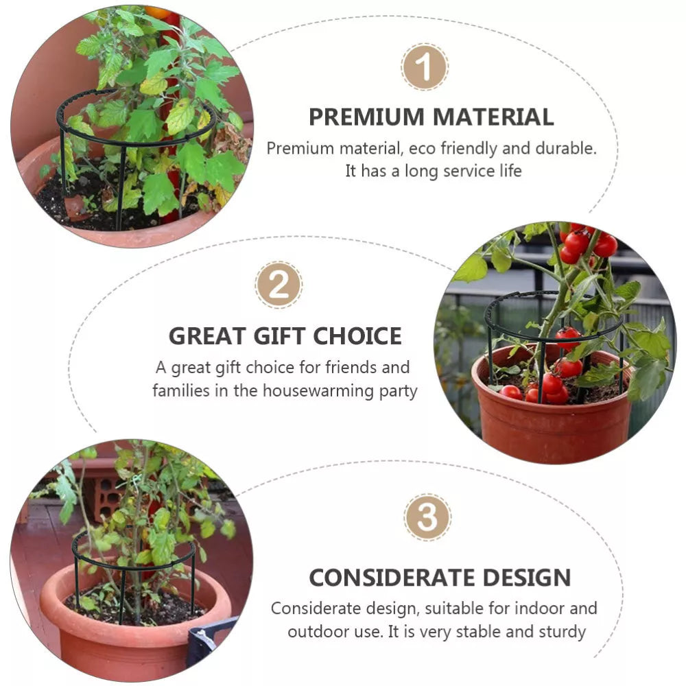 Skanto | Klatrestøtte for planter – Robust holder med burdesign for vekst og stabilitet