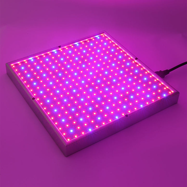 Skanto | Grow Light Lampe