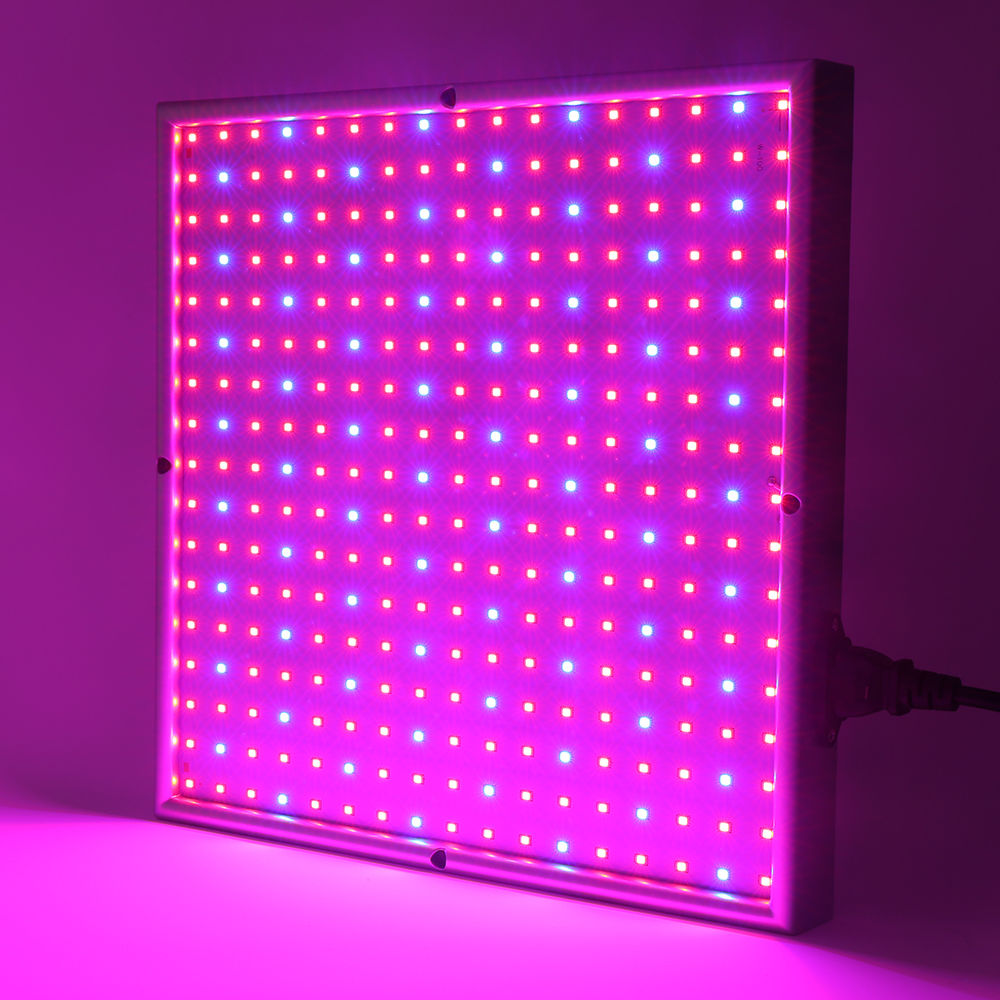 Skanto | Grow Light Lampe