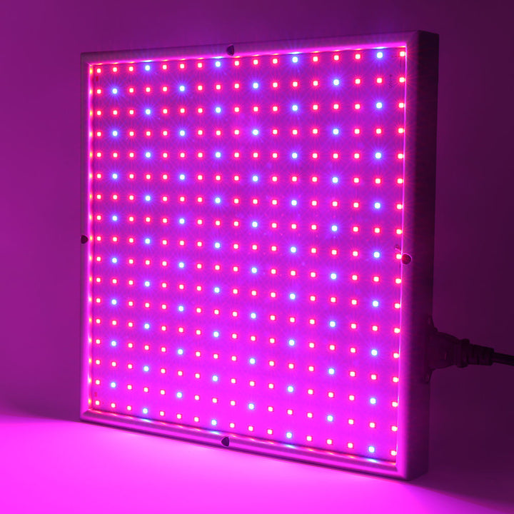 Skanto | Grow Light Lampe