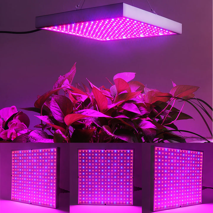 Skanto | Grow Light Lampe