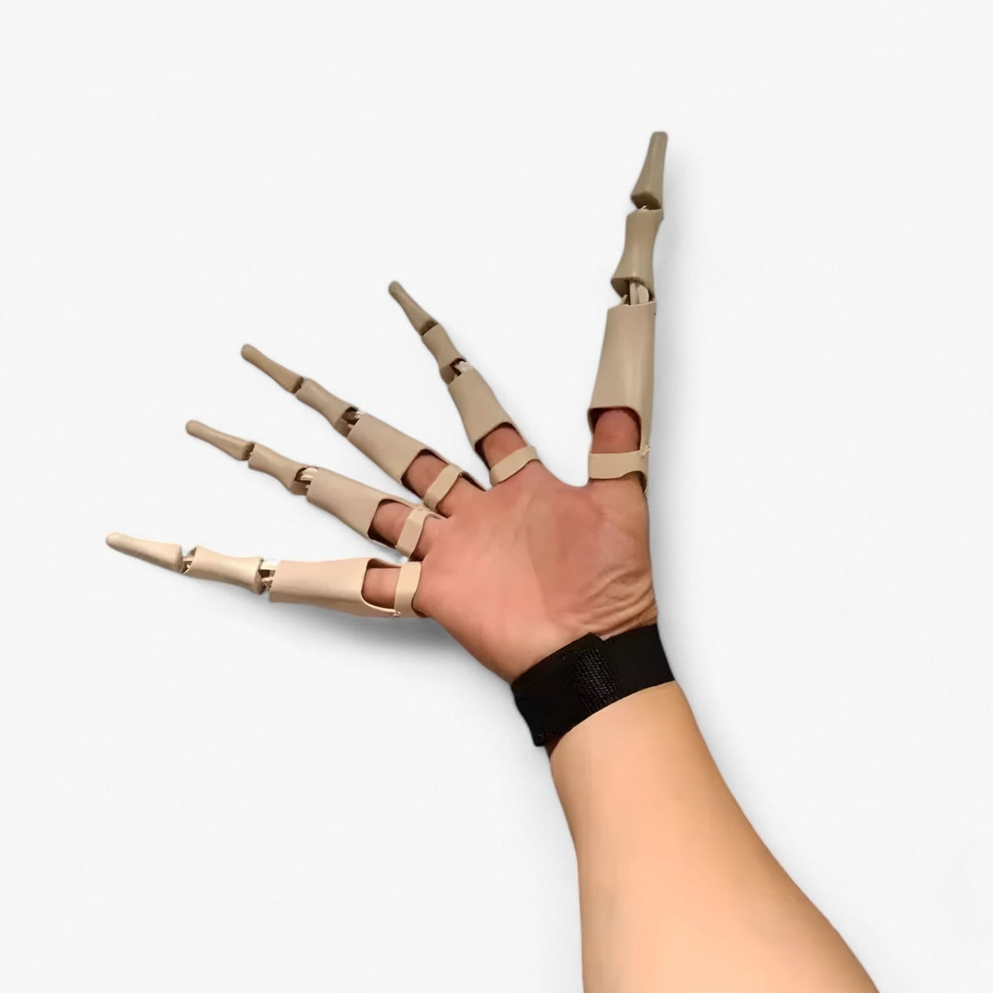 Norvo | Claw | Curled Skeleton Fingers - Realistic Horror Glove