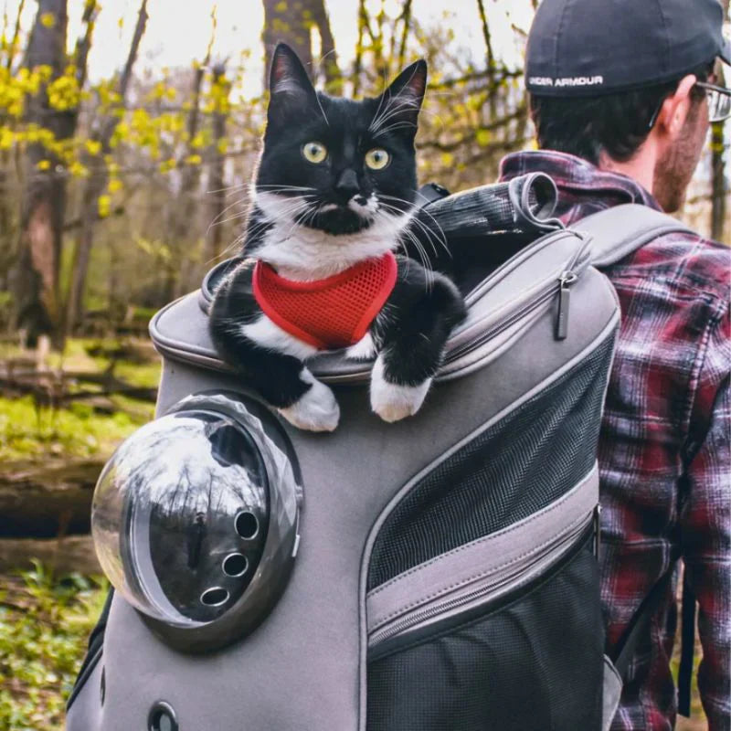 Kattreisebag – PurrTrek Skanto