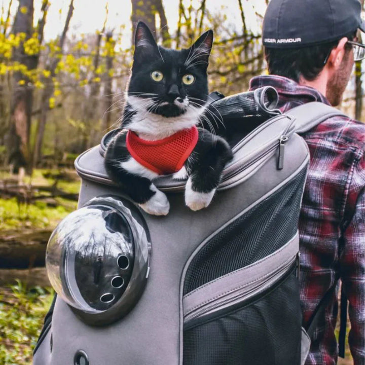 Kattreisebag – PurrTrek Skanto