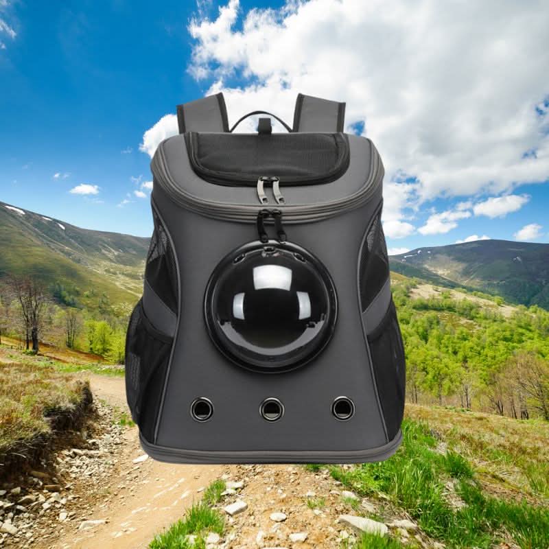 Norvo | Sammenleggbar katte reiseveske med panoramaf vindu og komfortdesign