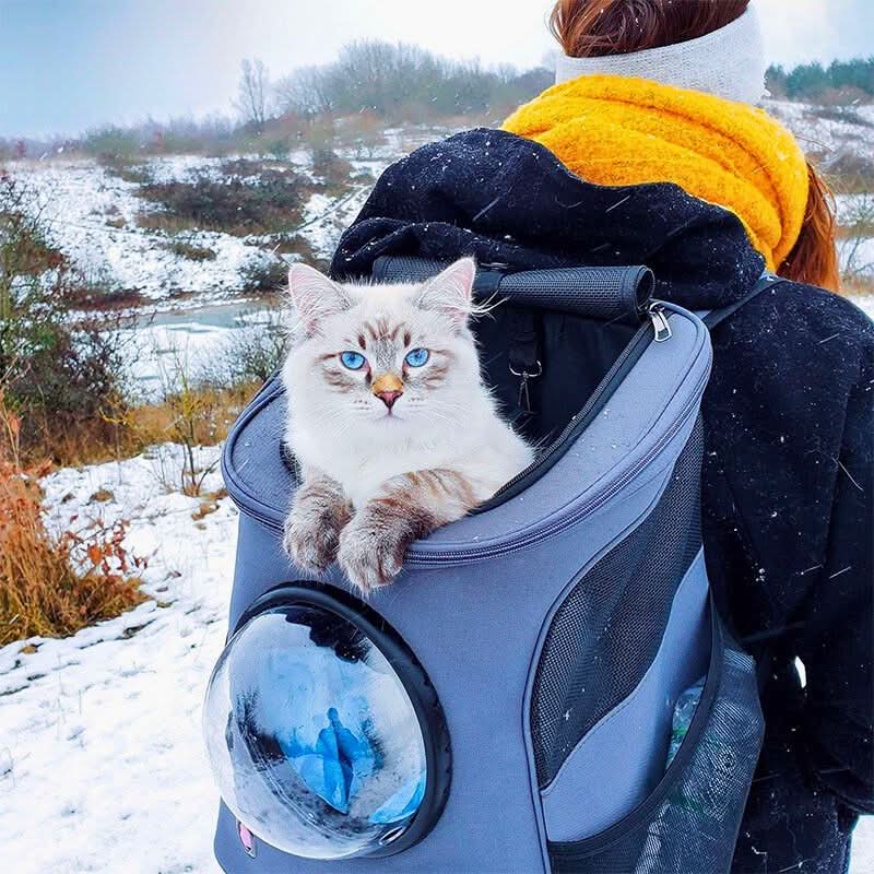 Skanto | CATTREKKER – Sammenleggbar katte reiseveske med panoramavindu for stressfri reise