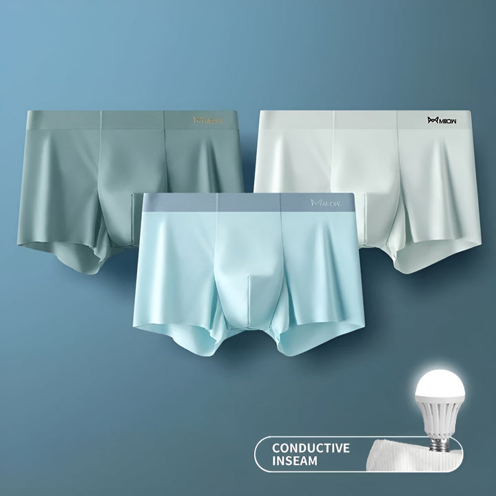 Nahtlose Herren-Boxershorts - Leo