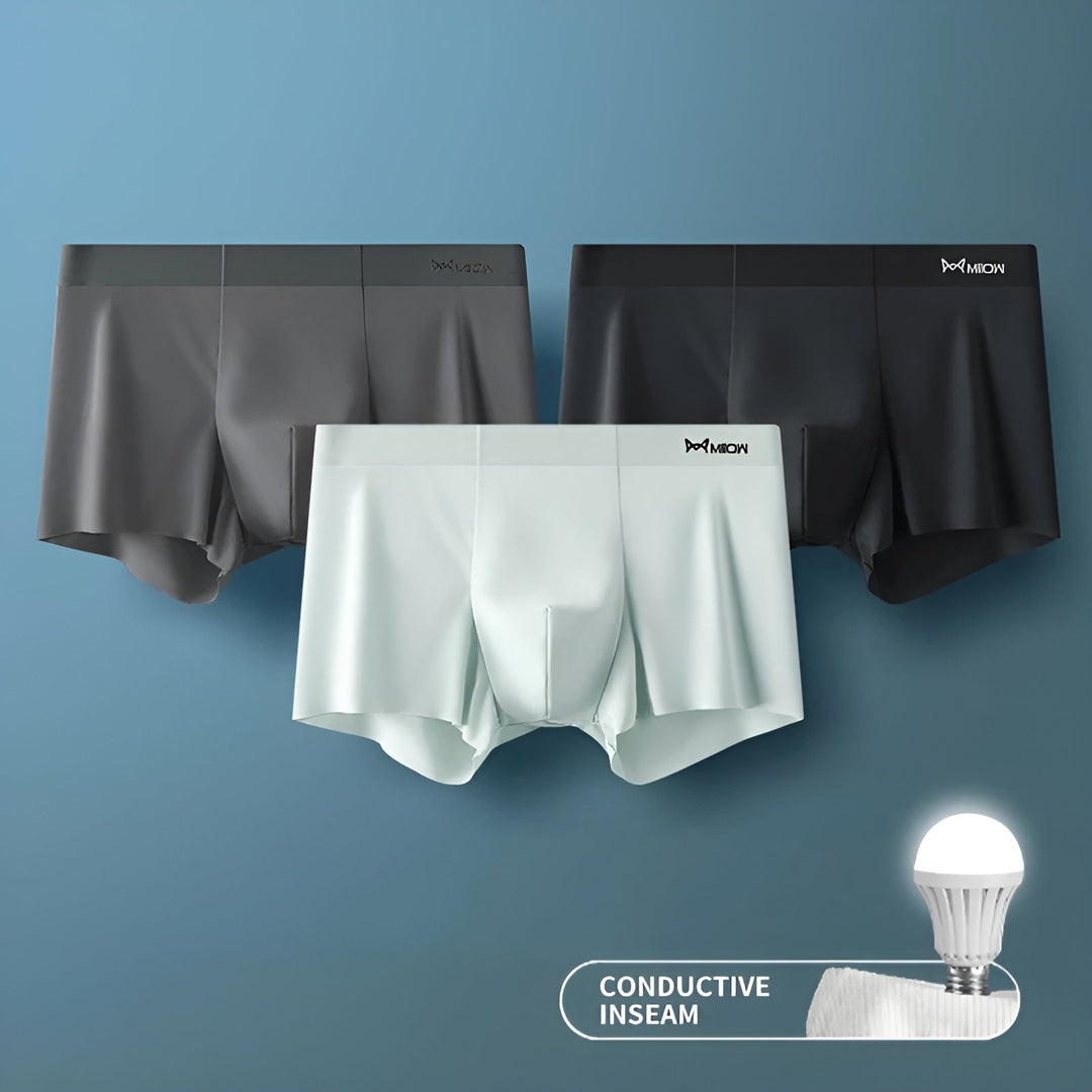 Nahtlose Herren-Boxershorts - Leo