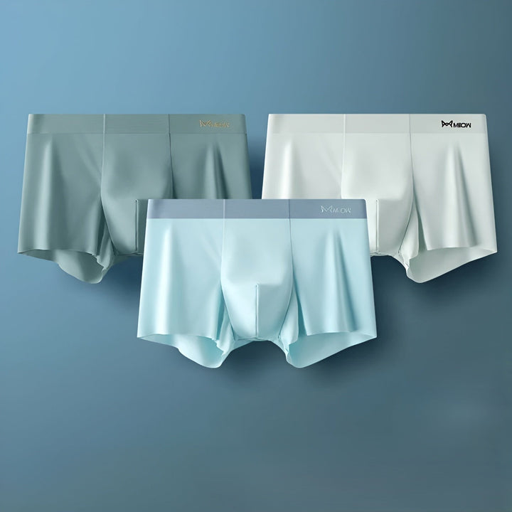 Nahtlose Herren-Boxershorts - Leo