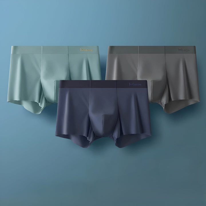 Nahtlose Herren-Boxershorts - Leo