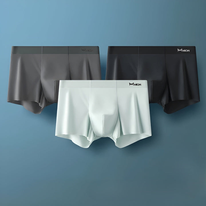 Nahtlose Herren-Boxershorts - Leo